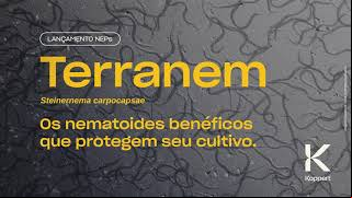 Play